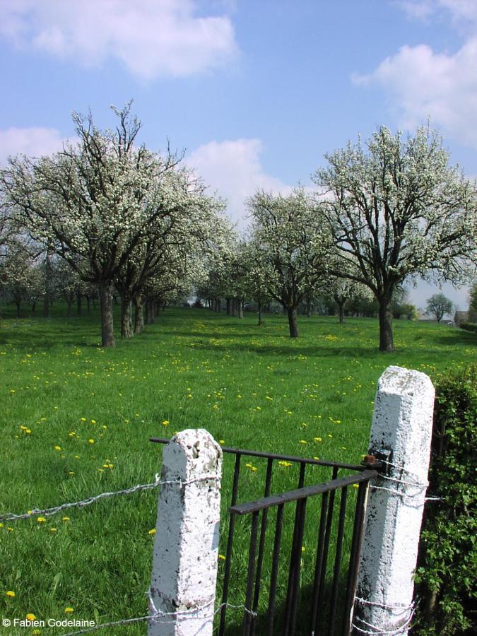 O Macra House - Aubel, Pays De Herve Zewnętrze zdjęcie
